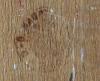 post-3544-0-36776800-1438429549_thumb.jpg