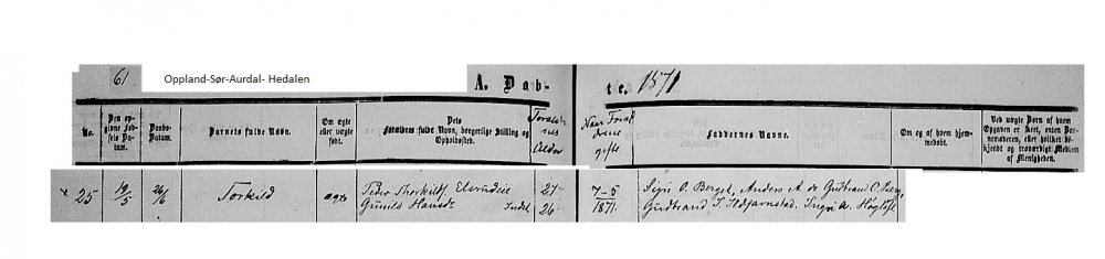 Torkild f 1871 Hedalen.jpg