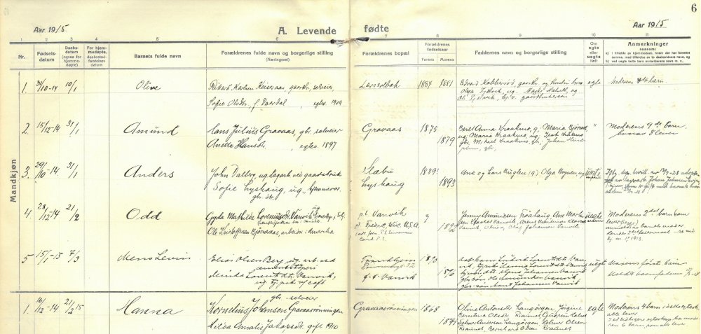 Fødselreg-Leksvik-Stranda-1915.jpg