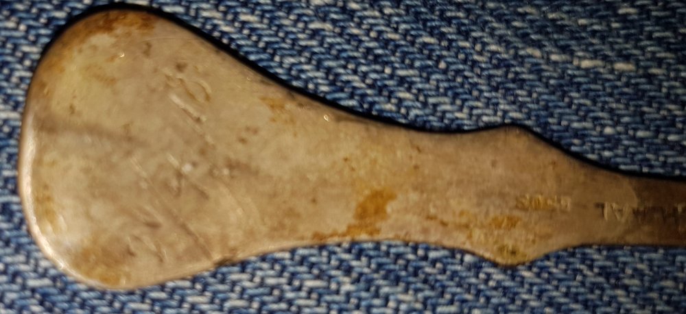 20170617_105940.jpg