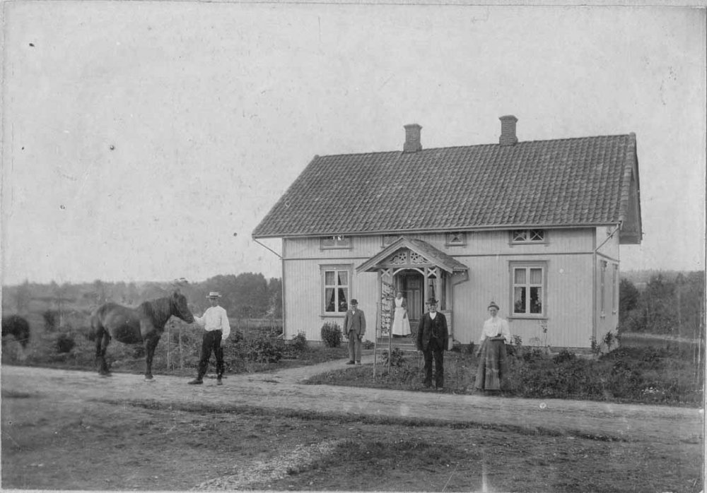 Bolette12.jpg