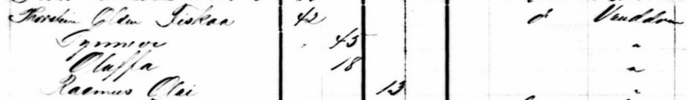 1871_Ankomst.jpg