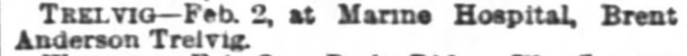 The Inter Ocean (Chicago, Illinois) 05 Feb 1885, Thursday, Page 8.jpg