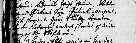 1549081753_Gullich1703.jpg.a9e546b142f90f39113a08642bd39659.jpg