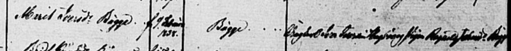 1853 Marit konf1.jpg