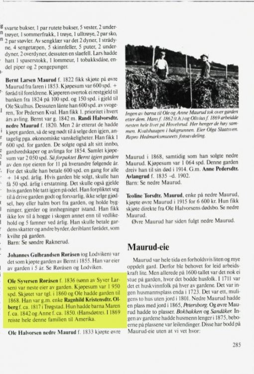 Nes Bydebok Bind 2 Del 2, Øvre Maurud pg 285.jpg