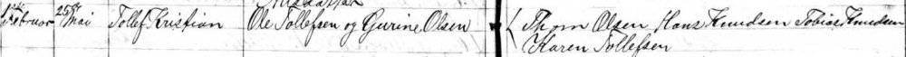 1884 Tollef K.jpg