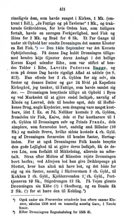 Ribe 3 Bagge.JPG