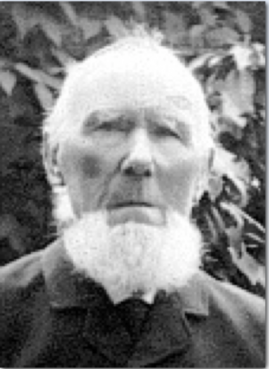Henrik Reiss 2.png