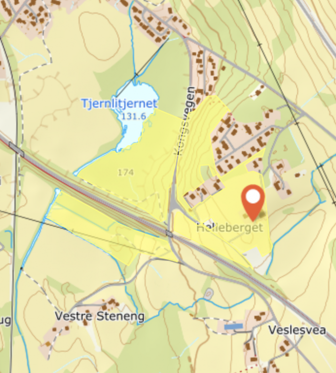 584556847_Skjermbilde2020-06-14kl_17_39_55.thumb.png.dbbc9dba5291ac2eb70f50cef206ce15.png