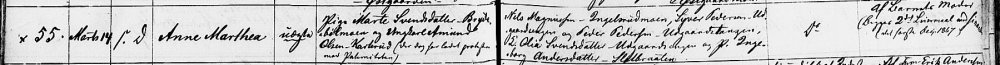 anne marthea (2).jpg
