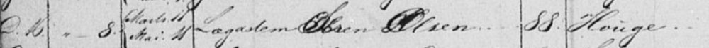 1882480207_Utennavn.thumb.jpg.0ad71ab8802fe232b44de25134b6963f.jpg