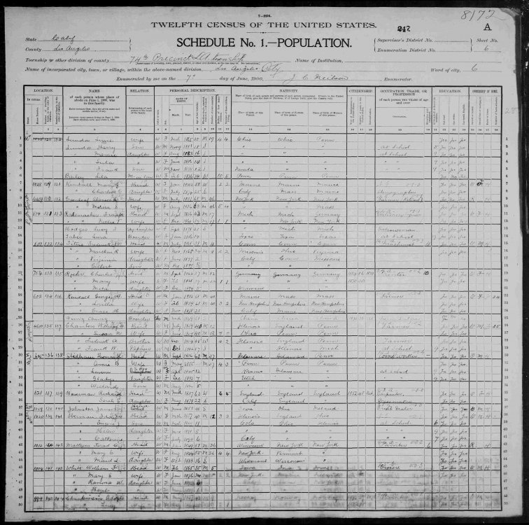 record-image_US Census 1900.jpg