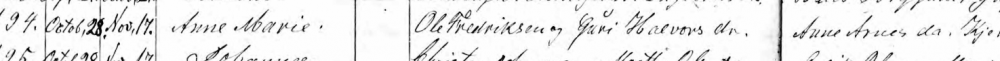 anne marie 1867.PNG