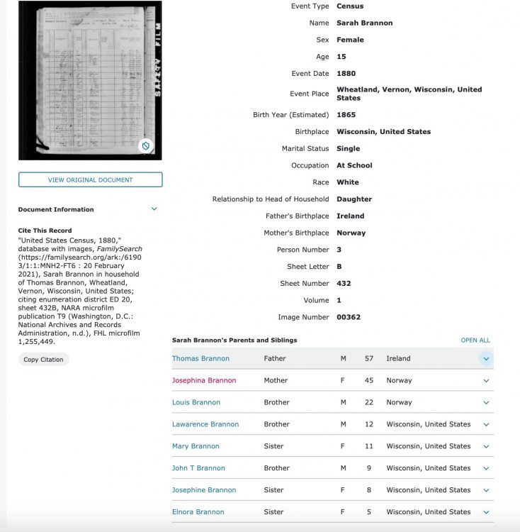 US Census 1880.jpg
