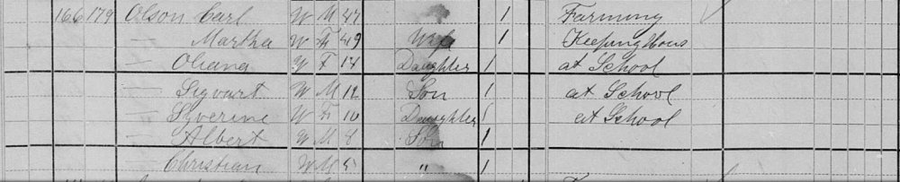 US Census 1880.jpg