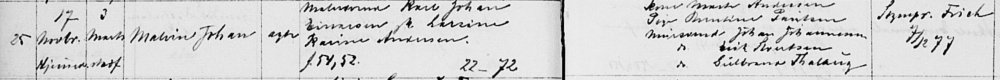 (1878 03:3) Malvin Baptism.jpeg