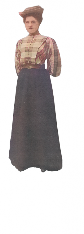 test11.png