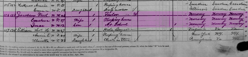 jacobson-1880-census-galsburg.png