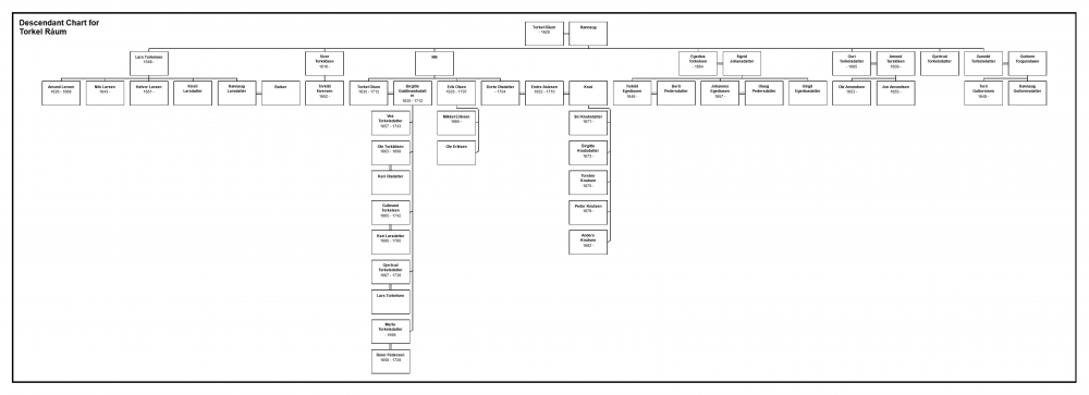 1497196831_DescendantChartforTorkelRum.thumb.png.dccd8cefe39fda0f6b4459e5f9e1adf9.png