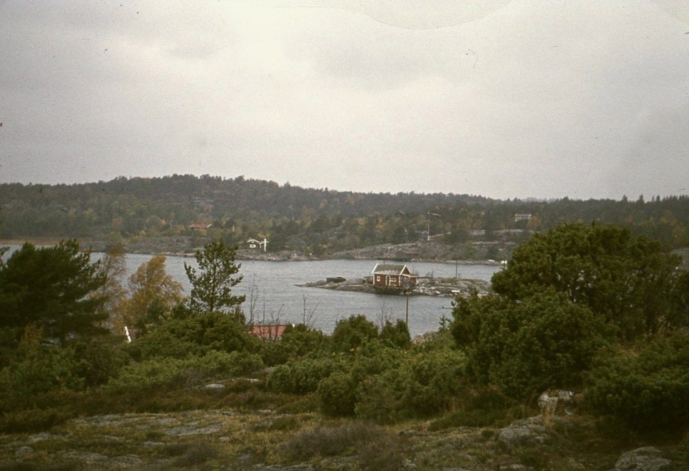 img506 (3).jpg