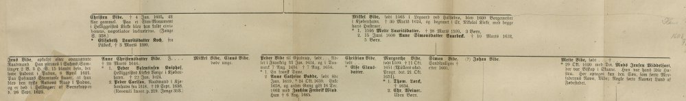 Detalj fra stamtavlen over familien Vibe.jpg