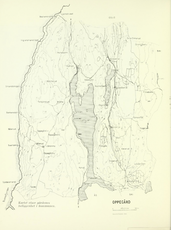 image.thumb.png.ea3714d11e106c062e03342eba39e736.png