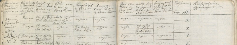 Ekstraskatt Tynset 1762.jpg