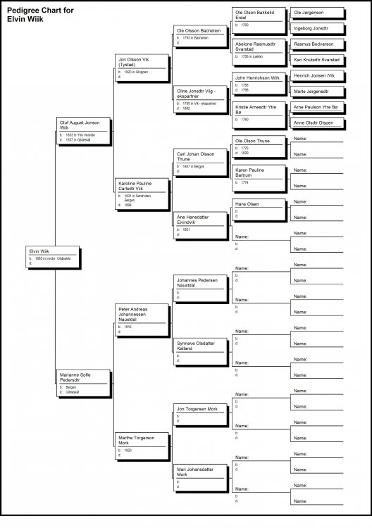Pedigree Chart for Elvin Wiik.jpg