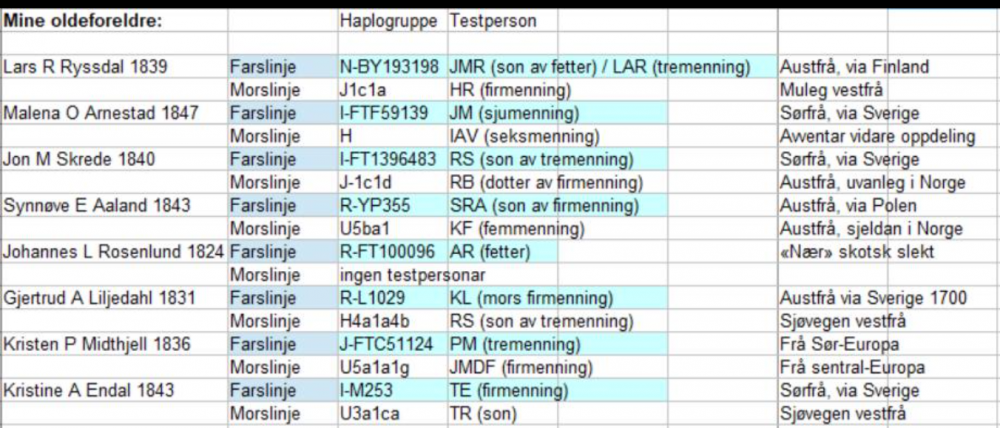 sjå8.png