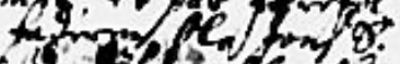 image.png.55b3c237a839420c53830f4379fddeca.png