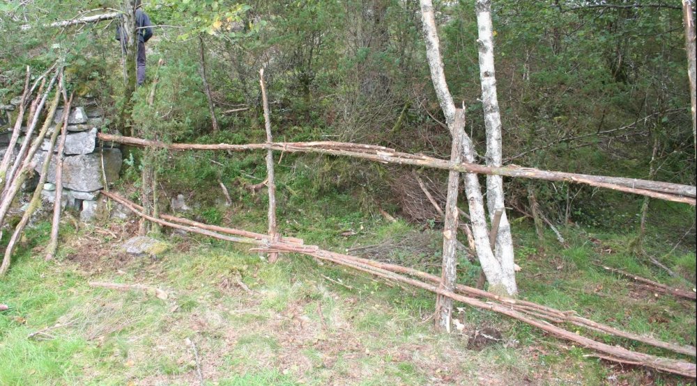 Vidjebånd og trøer.JPG
