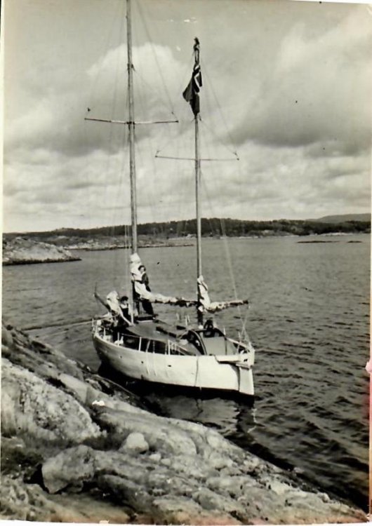 Odin1.jpg