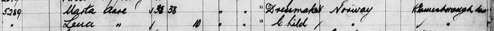 Innvandring 1907 .jpg