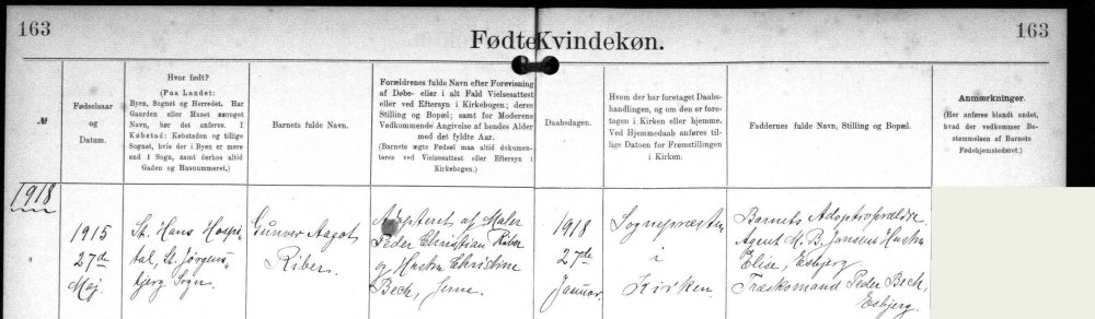 gunvor_aagot_riber_lyngshøj_kirkebok_dåp_jerne.jpg